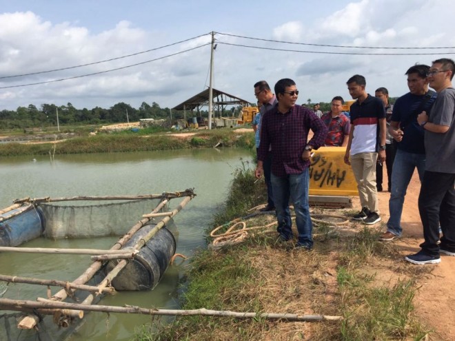 TINJAU TAMBAK- Bupati Tanjabtim Romi Hariyanto saat meninjau tambak ikan toman di Tanjungpinang, kemarin.jpg