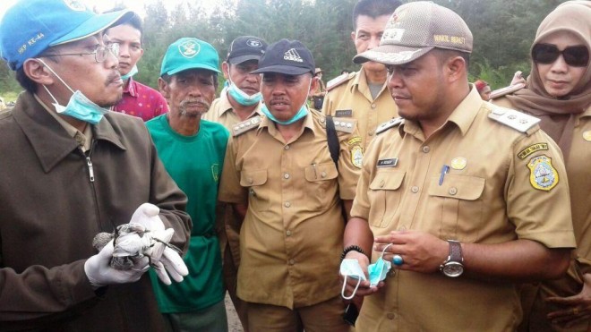 BURUNG MIGRAN MATI- Wabup Tanjabtim Robby Nahliyansyah saat mengecek burung Migran banyak yang mati di Pantai Cemara