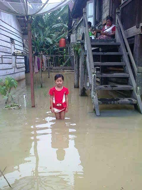 BANJIR- Tampak rumah warga Desa Teluk Melintang, Kecamatan Mersam, Kabupaten Batanghari yang terendam banjir