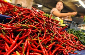 Harga Cabe di Tanjabtim Turun   