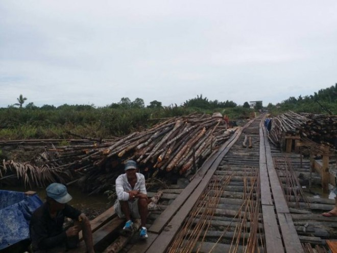 Material kayu diduga illegal untuk pembangunan rumah nelayan di Kula Tungkal, Tanjab Barat 