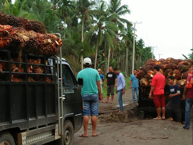 Tampak kendaraan pengangkut sawit yang terpuruk di jalan Desa Siau dan Lambur I yang rusak parah