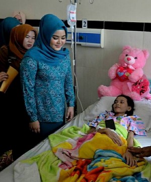 Sherrin Fokuskan Program PKK Terkait Keselamatan dan Kesehatan Ibu dan Anak 		