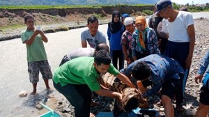 Warga Kerinci Temukan Mayat Perempuan di Sungai 	