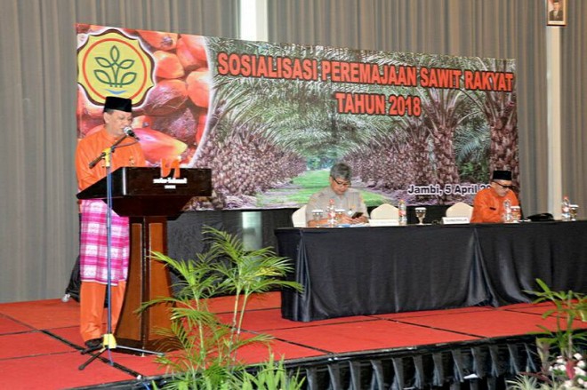 Sosialiasi peremajaan sawit rakyat tahun 2018