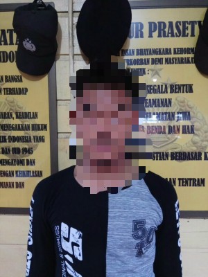 Pemuda Cabuli Anak Dibawah Umur