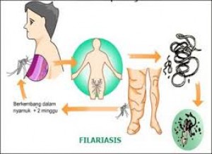 Petugas Harus Bekerja Optimal