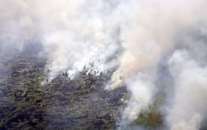 Kebakaran Hutan dan Lahan Meluas