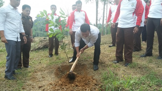 Bupati Romi Saat Melakukan Penanaman Pohon