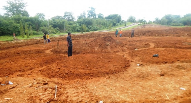 Kadis Perkim Tanjabtim  Adil P Aritonang Meninjau Kegiatan Pembuatan Taman Bunga Matahari