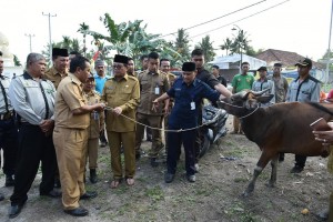 Fachrori Serahkan Sapi Qurban untuk Warga Kurang Mampu           