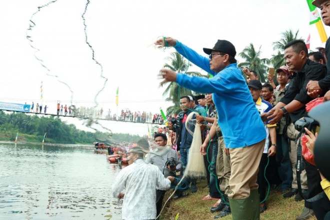 Fachrori Umar saat memanen ikan di Lubuk Larangan