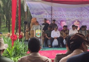 Bupati Masnah Akan Optimalkan Sektor Perkebunan dan Pertanian  