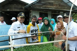 Bupati Adirozal Didampingi Ketua TP PKK Kerinci, Tinjau Desa Mekar Sari