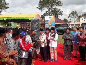 Bupati Adirozal Dampingi Dirjen Perkebunan