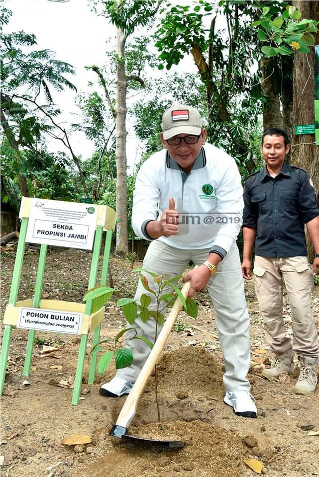 Sekda saat menanam pohon