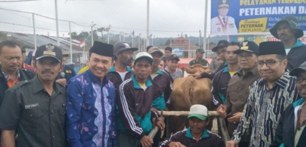 Bupati Adirozal Bersama Gubernur Jambi Turun Langsung Lihat Pelaksanaan Program IB Ternak Sapi didesa Patok Empat, Kerinci