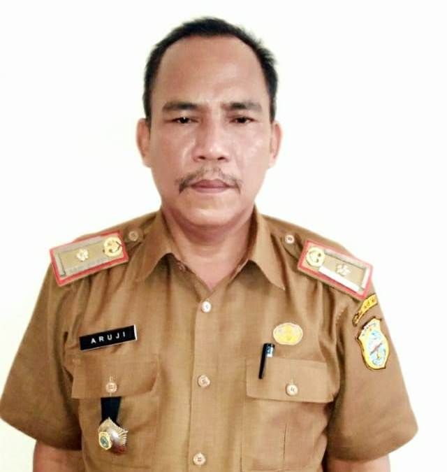 Kepala Dinas Dukcapil Tanjabtim, Aruji