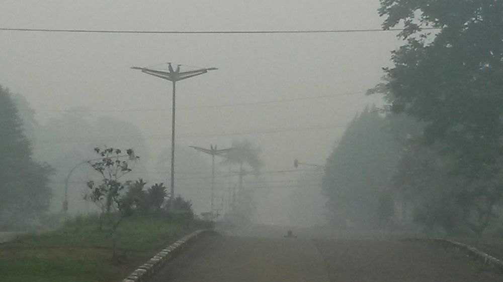 Asap Menyelimuti Areal Perkantoran Bukit Menderang Tanjabtim