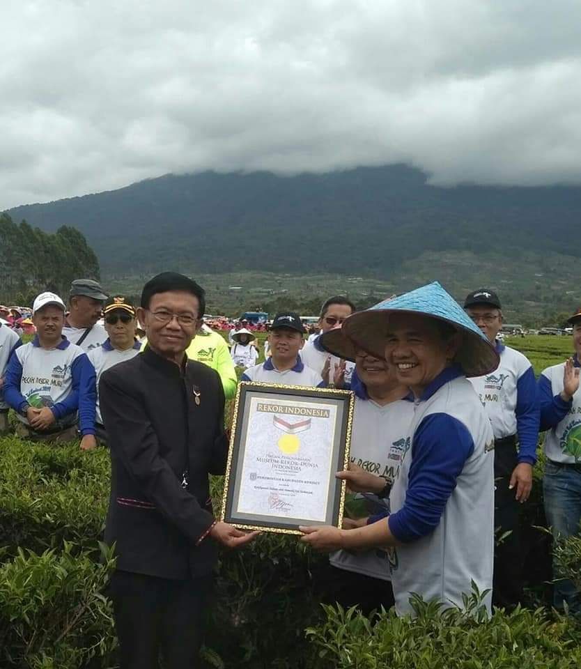 Bupati Kerinci H. Adirozal saat menerima Piagam Penghargaan Rekor Muri Indonesia, Pemetik Teh Terbanyak