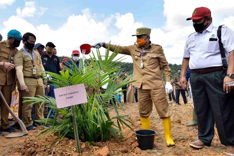 Fachrori saat menanaman perdana replanting kelapa sawit 