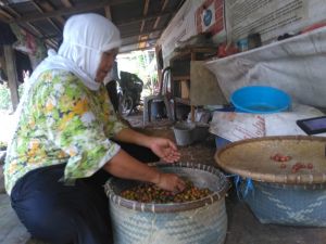 Mengangkat Ekonomi Masyarakat Tanjabbar Lewat Ekowisata Sukorejo Kampung Kopi Liberika   