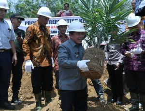 Merangin Terluas Dan Terbaik Soal Program Replanting Sawit