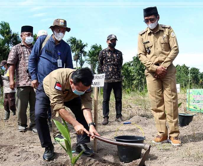 Gubernur Jambi, Al Haris saat menanam Pinang di Sadu