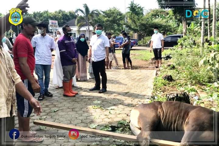 Bupati Romi Qurban 10 Sapi Secara Pribadi