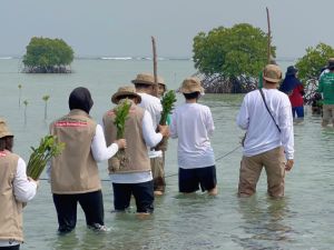 Insan PetroChina Menanam Harapan Melalui Donasi 5.000 Mangrove