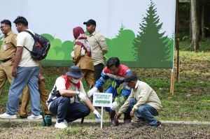 PHR Zona 1 Tanam 21.156 Pohon : Komitmen Hijau untuk Masa Depan Indinesia