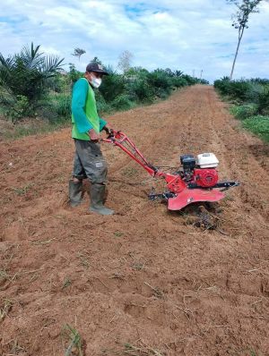 Ketua Kelompok Tani Binaan Pertamina EP Jambi Menjadi Petani Berprestasi Kabupaten Batanghari