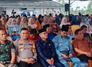 Ketua DPRD Aidi Hatta Harapkan Muaro Jambi Menuju Agro Wisata Nanas