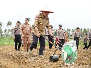 Dukung Swasembada Pangan, Gubernur Al Haris, Kapolda, Danrem 042 Gapu dan Forkopimda Lakukan Penanaman Bibit Jagung 