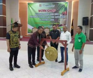 Wabup Junaidi Buka Workshop Hilirisasi Produk UMKM
