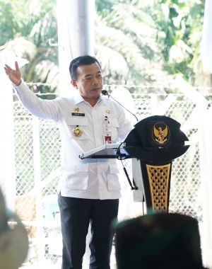 Gubernur Al Haris: Jambi Miliki Sumber Daya Alam yang Sangat Luar Biasa