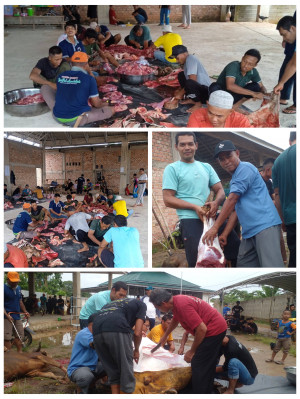 Antusias Masyarakat Pematang Pasir ber Kurban Tergolong Tinggi
