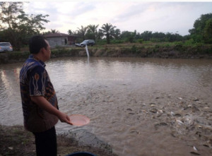 BBD Serap Aspirasi Petani Ikan Air Tawar di Sungai Gelam