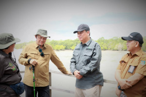 Wabup Katamso Sambut Tim Kementerian Kehutanan, Mangrove Pangkal Babu Diproyeksikan Jadi Pilar Ketahanan Pesisir