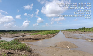 Mangrove Sungai Sayang Kembali Terluka, RLH Desak DPRD Panggil Perusahaan dan Ungkap Mandeknya Rehabilitasi