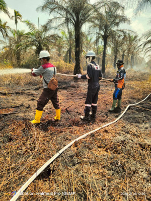 PetroChina Bantu Padamkan Karhutla di Jambi 