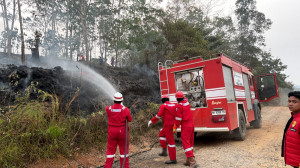 Pertamina EP Bantu Pemadaman Lima Titk Kebakaran Lahan di Jambi